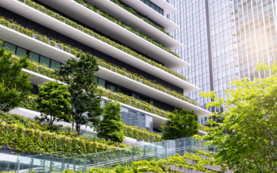 How Does Your Building’s Envelope Affect Sustainability